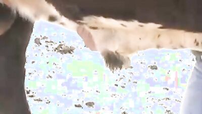 Zoo horse porn: bungou stray dogs sex
