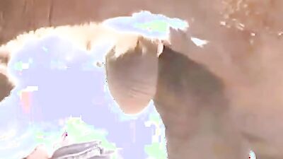 Zoo horse porn: bungou stray dogs sex