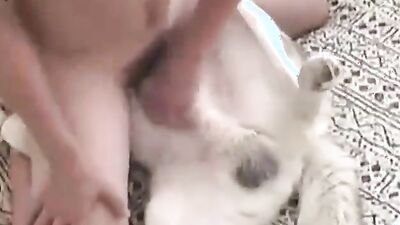Zoo porn: zoo tube bestiality