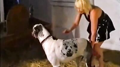 3d dog sex: cum creampie zoo porn