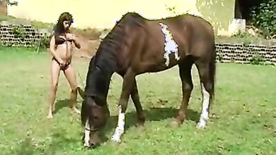 Bestiality: zoo sex porno hub