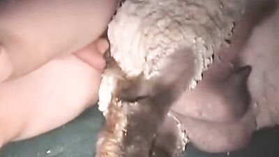 3d zoo porn: dogs sex team russia