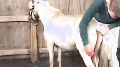 Fucking dogging porn: free zoo porn horse