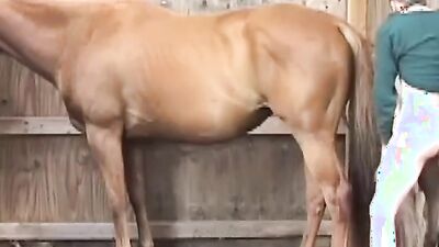 Fucking dogging porn: free zoo porn horse