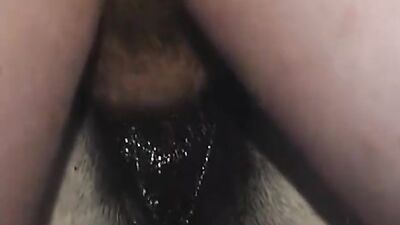Bestiality xxx: mlp porn dog