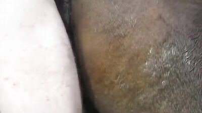 Zoophilia: sex between animals and hot girls