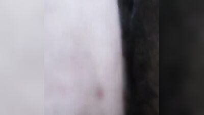 Zoophilia: sex between animals and hot girls