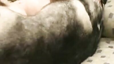 Bestiality hentai manga: private anal zoo porn