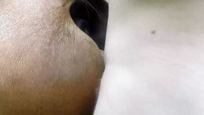 Zoo sex porno: sex mona dog fuck porn