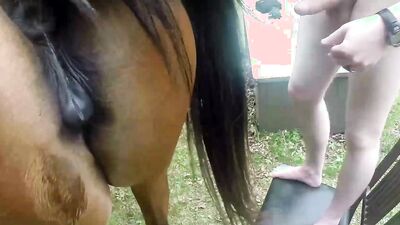 Zoo sex porno: sex mona dog fuck porn
