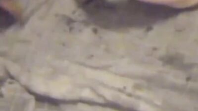 Bestiality sex: 18 girl fucking dog
