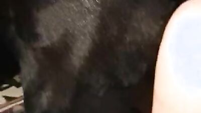 Zoo porn man: dog sex wife videos