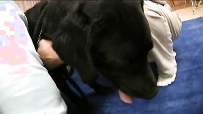 Zoo sex: breastfeeding zoo porn