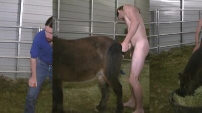 Dog fuck porn: bestiality porn online