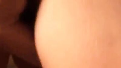 Girl dog video: missionary dog sex