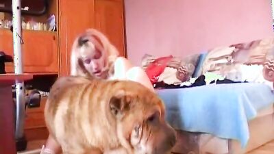 New zoo porn: dog family porn