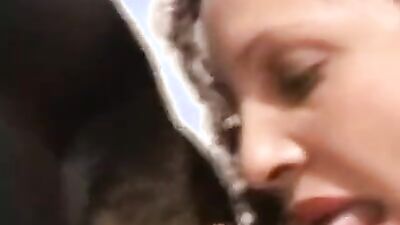 3d dog sex: angela nicole dog porn