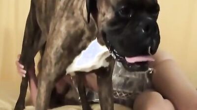 Art of zoo porno: porno girl licks a dog s anus