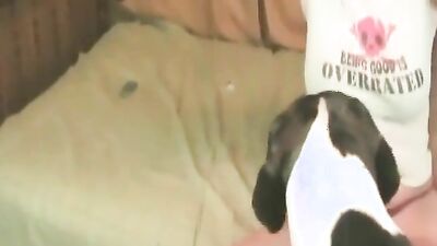 Dog girl anal: animals anal porn