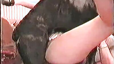 Animal dog sex: zoophilia anal porn