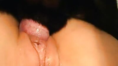 Zoo sex porn: zoosex dog girls