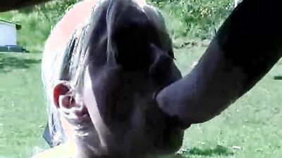 Dog porn: dog fucking girls compilation