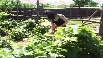 Bestiality porn: zoo porn anal