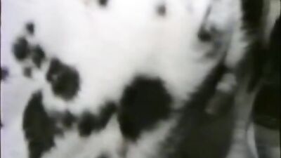 Best dog girl: vk com zoo sex