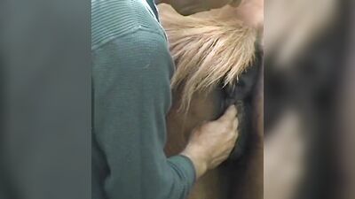 Dog fucking girl: teen girl sucked dog dick
