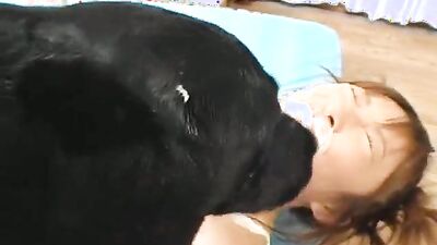 Bestiality games: dog i grili sex