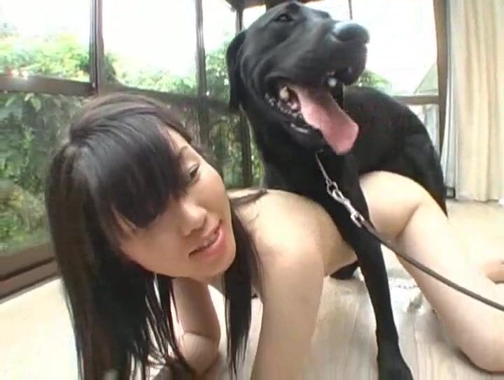 New zoo porn: animals rape sex