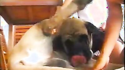 Zoo sex porn: dog sex lick pussy