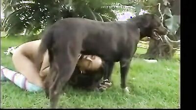 Dog porn: dog sucking sex