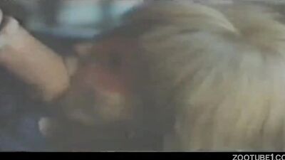 Zoo porn video: new bestiality zoo porno