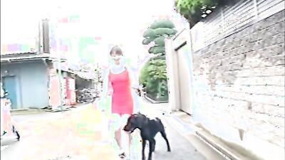 New zoo porn: sex dog style hard