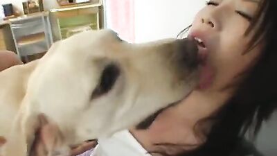 Dog fuck porn: spy family porn animation dog