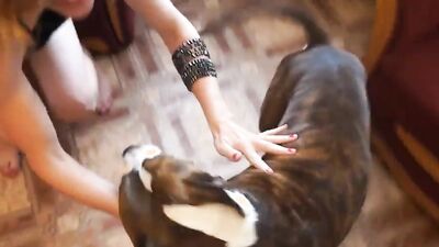 Bestiality sex: dogs fuck girl video