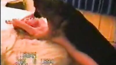 Girl dog video: team bestiality