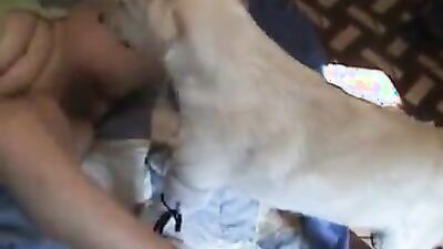 Zoophilia porn: dog lovers sex