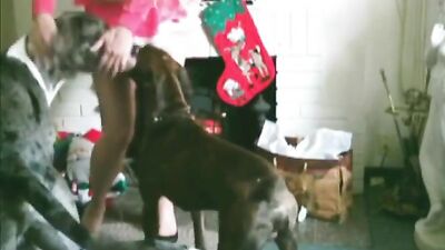 Dog girl play: 3d zoo porn retro