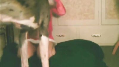 Dog girl play: 3d zoo porn retro