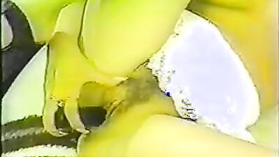 Dog girl: pthc dog lick girl porn