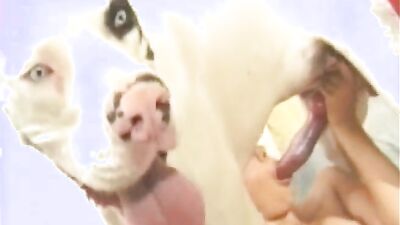 Girls s dogs: animal girl hard porn