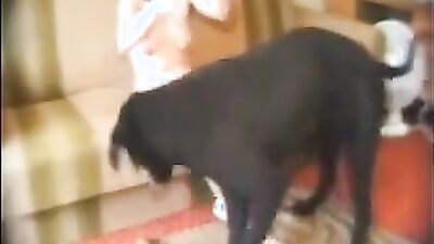 Art of zoo porno: bestiality anal dog
