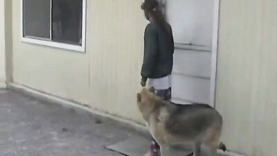 Animal sex: more zoo video