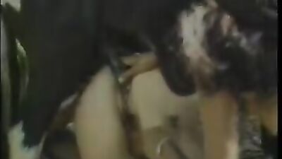 Dog lick girl: tranny zoo porn