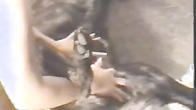Bestiality sex: zoo sex porno hub