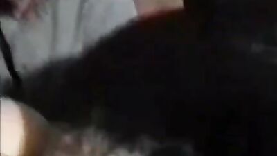 Zoo sex porn: zoophilia pmv