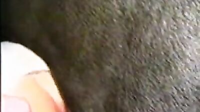 Dog girl 1: dog girl sex videos real