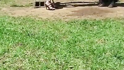 Zoo porno video: final fantasy porno girl and dog